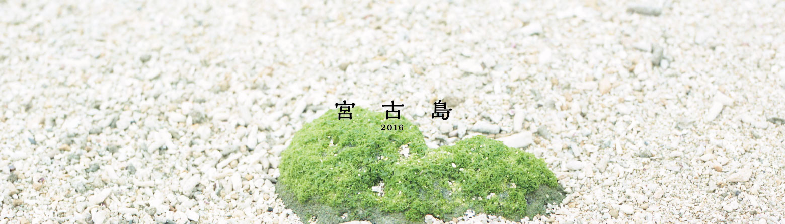 宮古島 2016